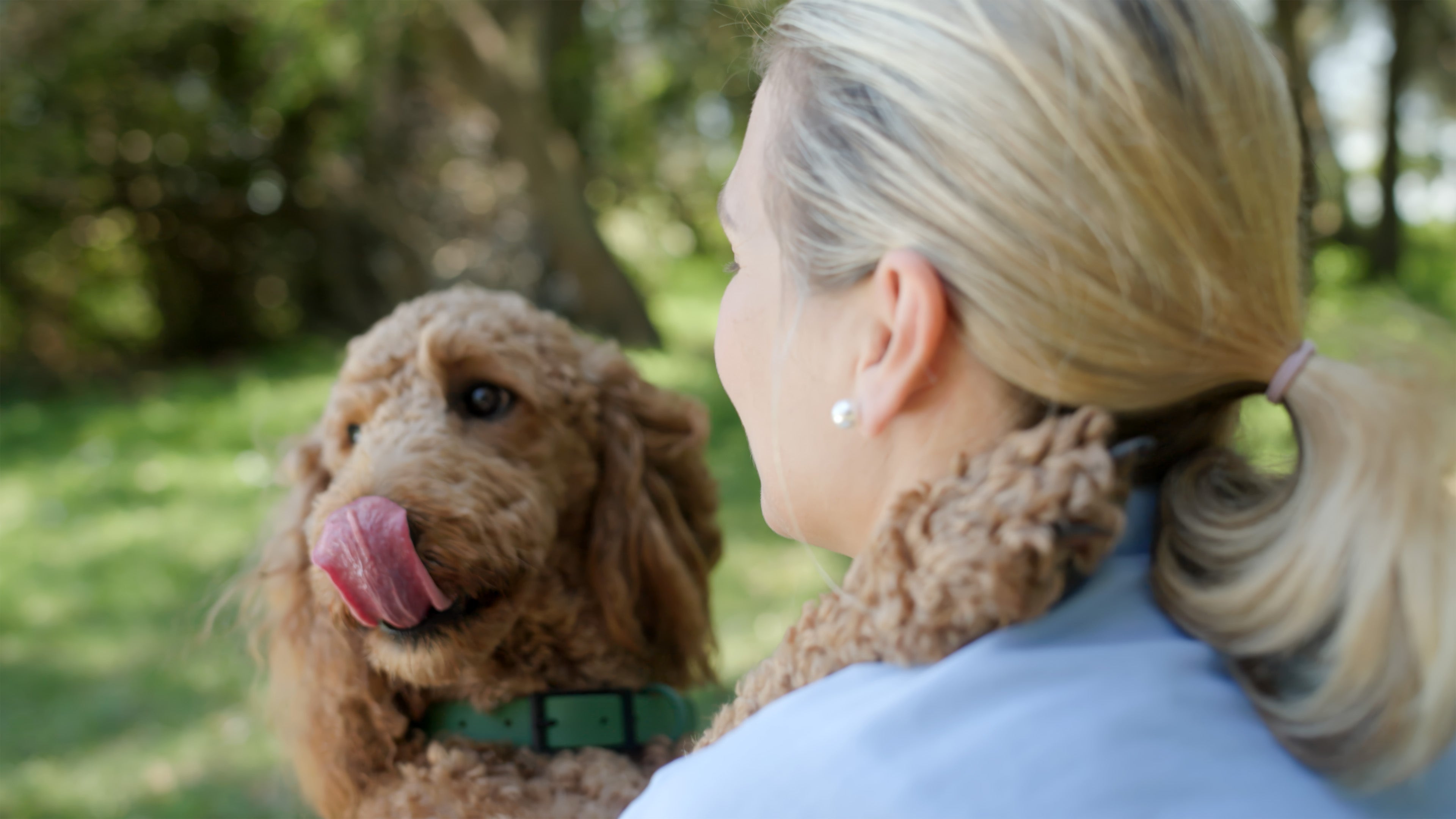 A woman carrying an apricot cavoodle over her shoulder in a sunlit Australian park, the dog licking its nose