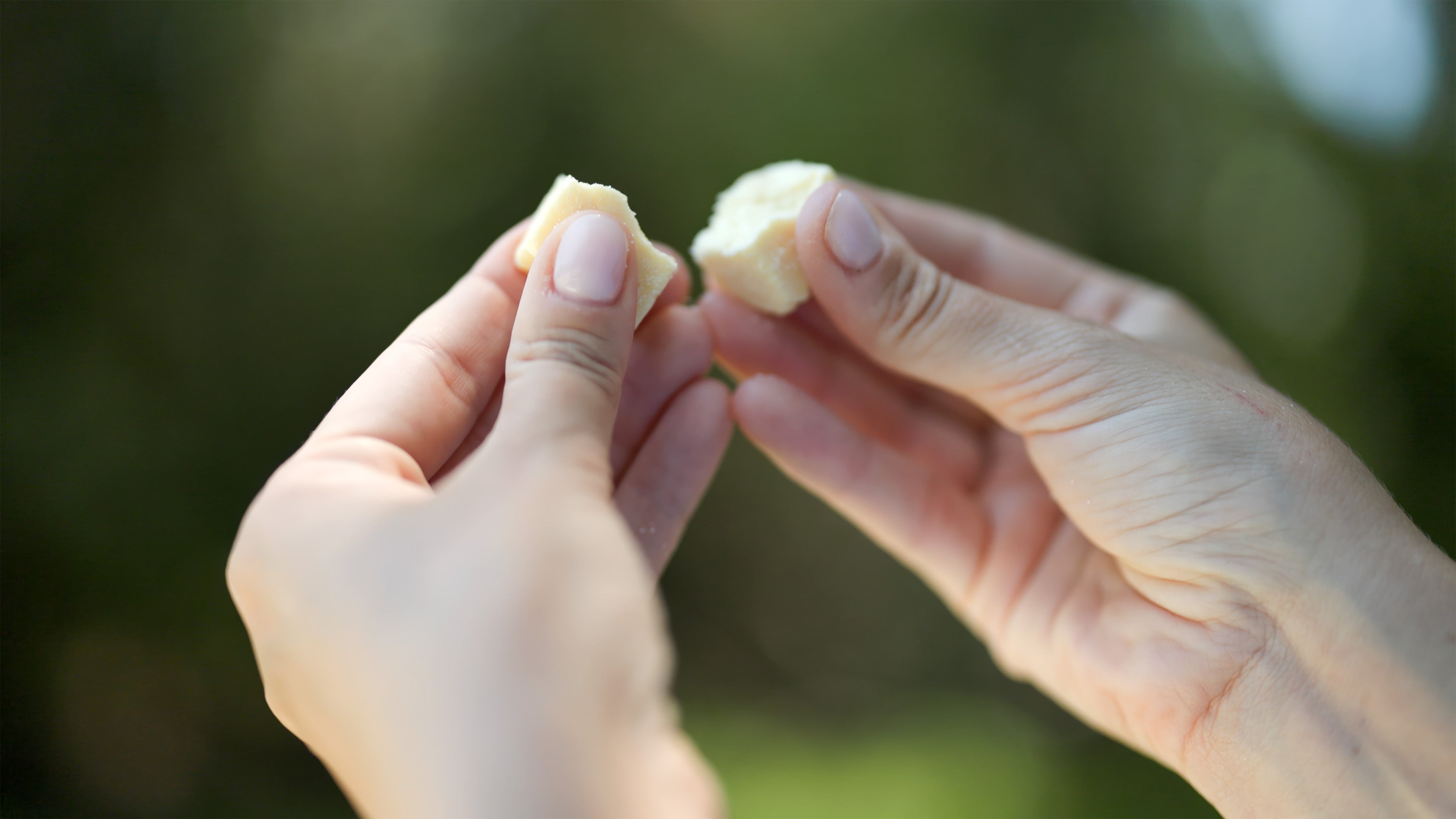 Discover Healthy, Natural Dog Treats Made in Australia