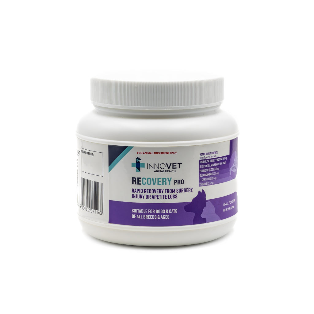 l carnitine for fertility female Unveiling the Benefits of L-Carnitine in Dog Food main image 0