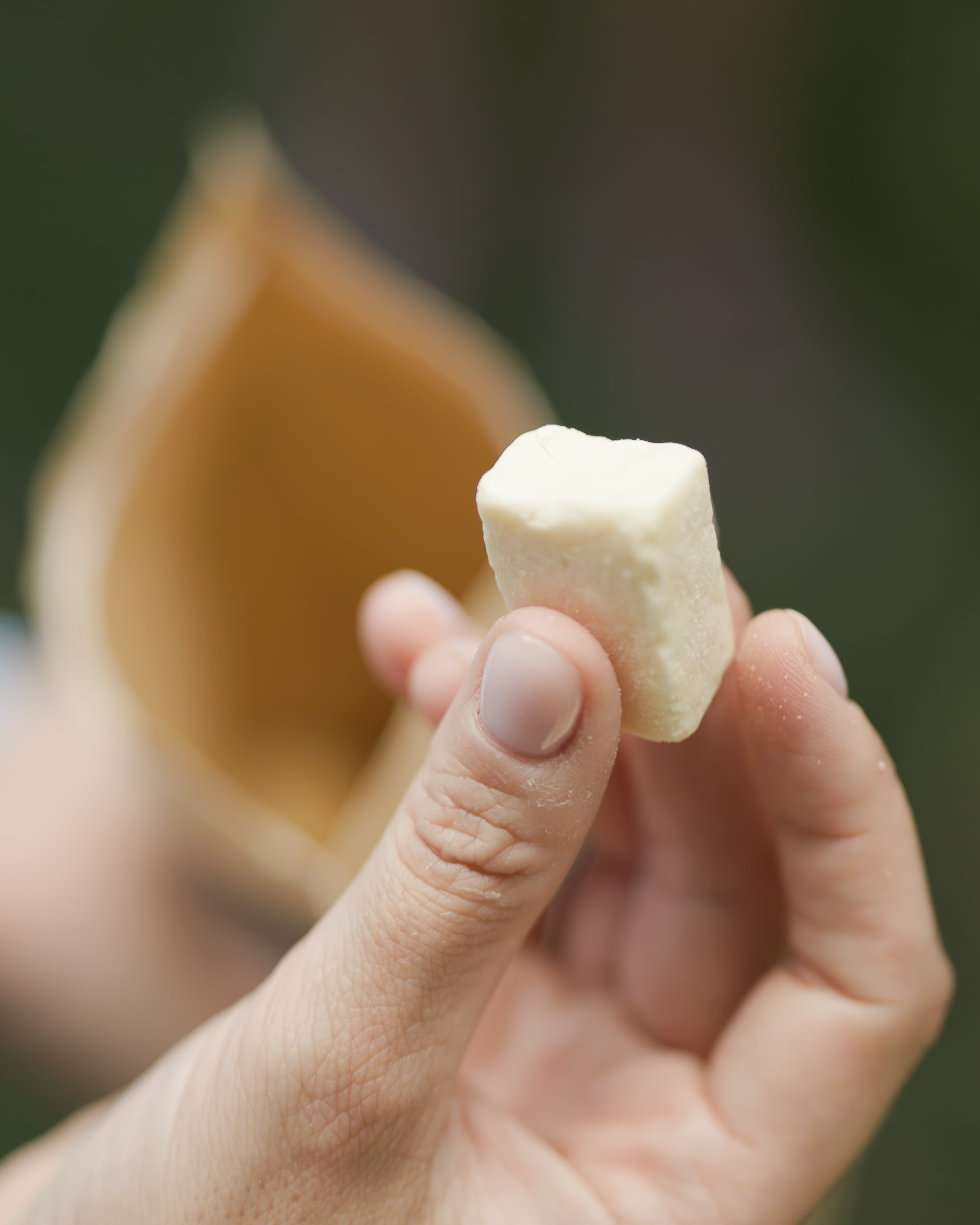 Healthy Reward Bites